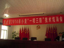 技术推广服务中心的职能与发展路径分析